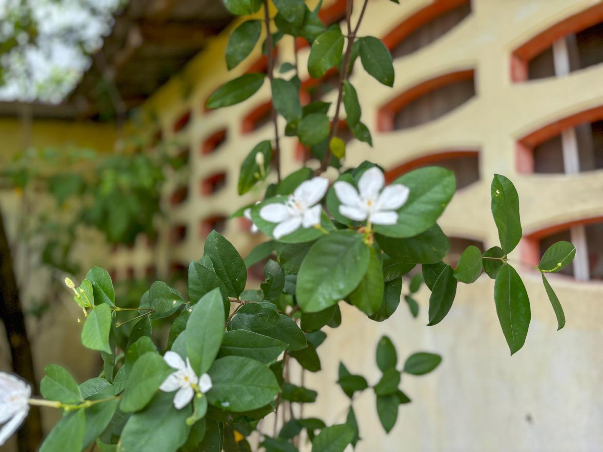 Bed and Breakfast Les Fleurs House à Khao Lak Extérieur photo