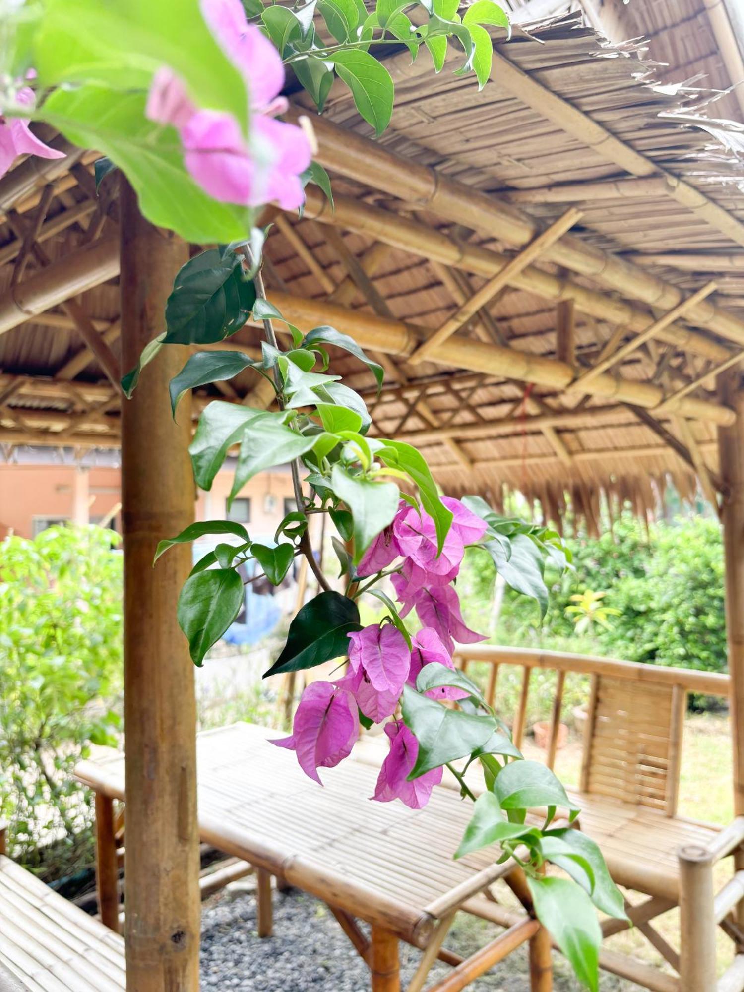 Bed and Breakfast Les Fleurs House à Khao Lak Extérieur photo